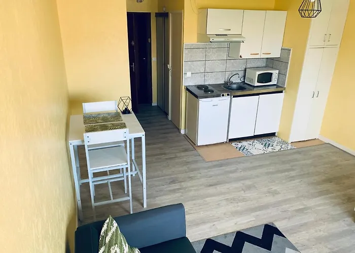 APPARTEMENT CENTRE PROCHE TRESTRAOU Num7